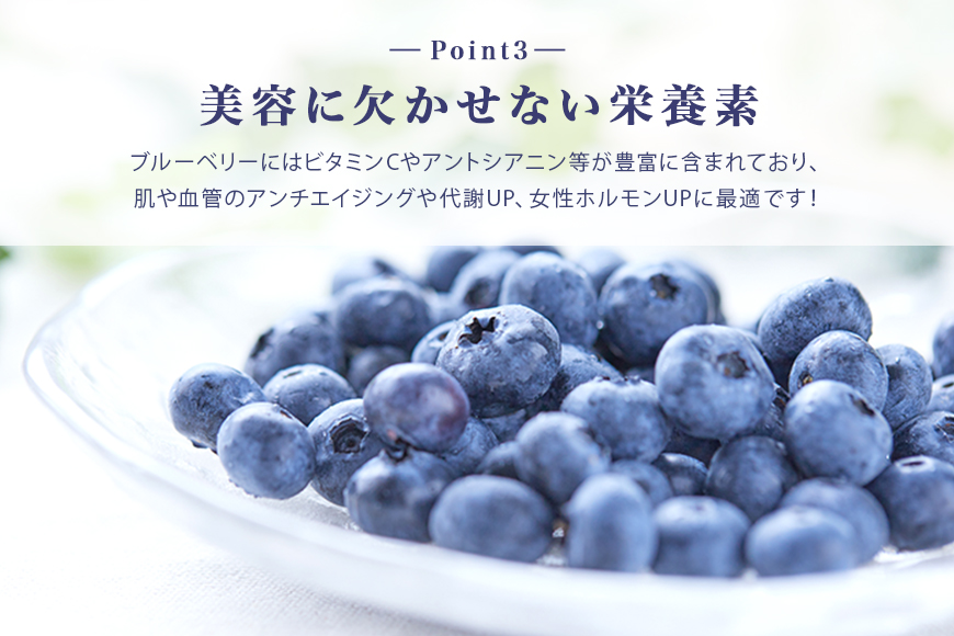 ブルーベリージャム6個 9-M