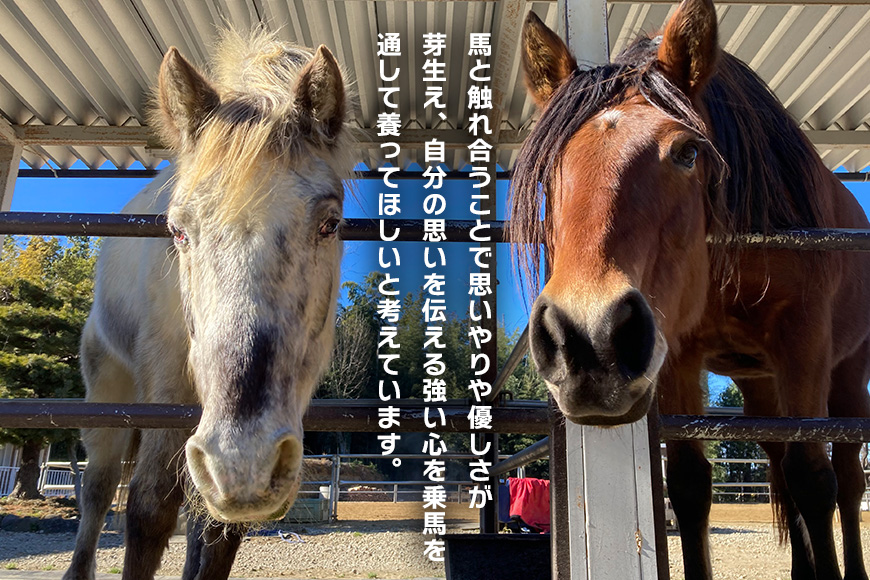 ★ROCKY★ 乗馬体験チケット＆本物蹄鉄オーナメント 体験 チケット 券 乗馬 本物 蹄鉄 オーナメント 馬 うま ウマ 蹄 アクセサリー 子供 大人 初心者 経験者 歓迎 92-C