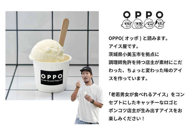 【数量限定】 アイスクリーム 90ml×12カップ アイス スイーツ ミルクアイス ラクトアイス クリーム ミルク ラクト いちじく フルーツ チーズ エスプレッソ コーヒー おやつ お菓子 デザート 国産 茨城県 小美玉市 97-A