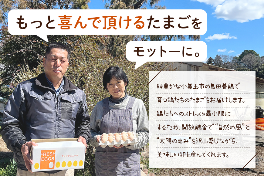 しまださんちのたまご 30個 (27個＋割れ補償3個) 鶏卵 卵 たまご タマゴ 玉子 こだわり 安心 安全 無着色 非遺伝子組換 健康 美容 ご飯 ごはん 68-A