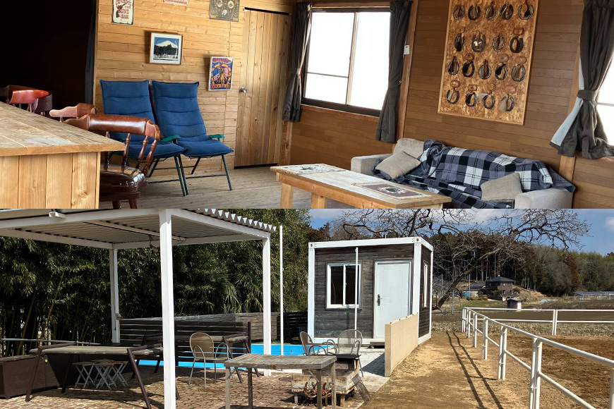 ★ROCKY★ 引馬体験チケット 10分 体験 チケット 券 引馬 馬 うま ウマ 子供 大人 初心者 経験者 歓迎 92-A