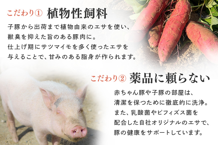 ブランド豚「サンゴク豚」 小間切れセット 2kg 小間切れ 細切れ こま切れ 豚こま 豚小間 豚小間肉 小分け 2-P