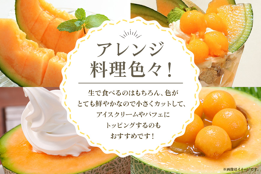 【数量限定・期間限定】 おみたまレノンメロン 赤肉 約5kg 4玉～6玉 メロン 秀品 めろん 果物 フルーツ 茨城県産 52-B 【4月20日まで受付・4月～5月上旬順次発送予定】