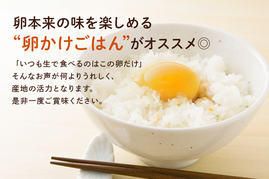 しまださんちのたまご 30個 (27個＋割れ補償3個) 鶏卵 卵 たまご タマゴ 玉子 こだわり 安心 安全 無着色 非遺伝子組換 健康 美容 ご飯 ごはん 68-A