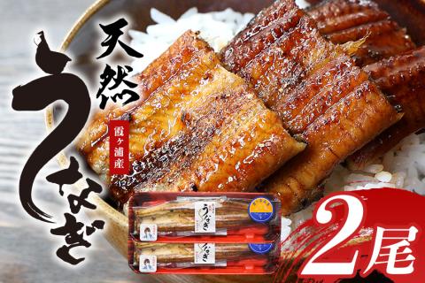 霞ヶ浦産天然うなぎ 蒲焼き 大 2尾（100～130g×2） 49-B
