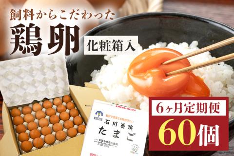 鶏卵60個（55個＋補償5個）入り化粧箱 【6ヶ月定期便】 16-D