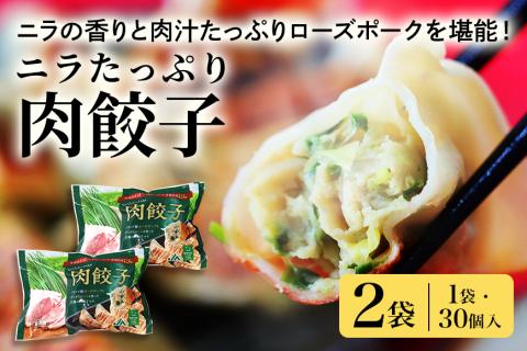 【数量限定】 ニラたっぷり肉餃子 2袋 17-U