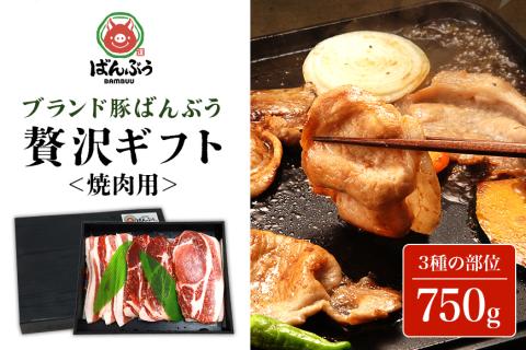 ブランド豚「ばんぶぅ」ギフト 焼肉用 750g 42-BB