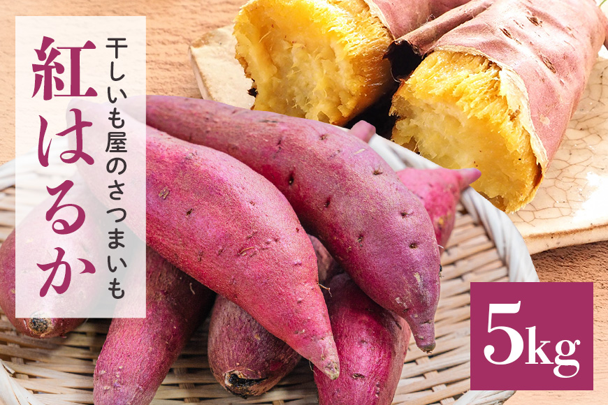 干し芋屋のさつまいも（紅はるか） 5kg サツマイモ さつま芋 生芋 べにはるか ベニハルカ 国産 茨城県産 12-R