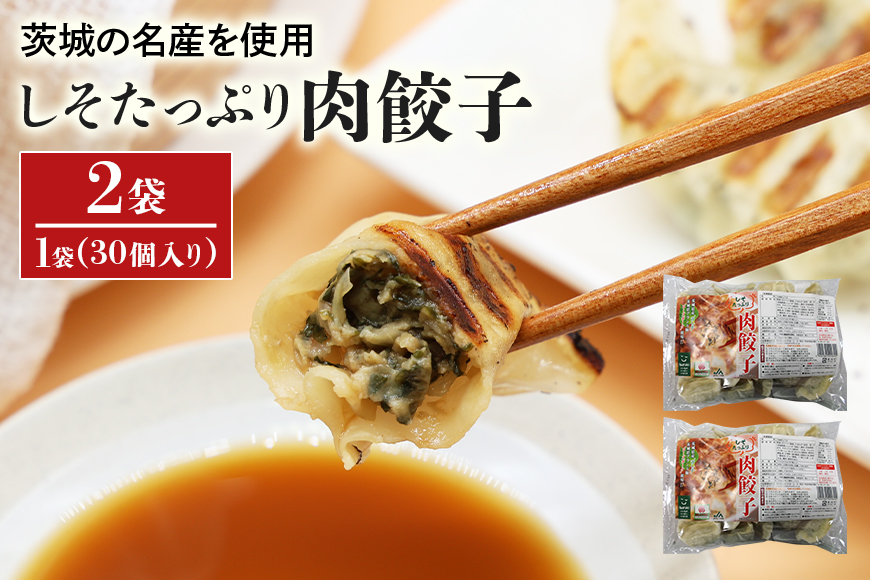 【数量限定】 しそたっぷり肉餃子 2袋 17-AN