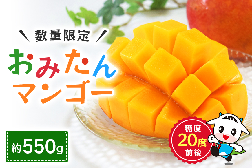【数量限定・季節限定】 おみたんマンゴー 約550g【7月20日～8月末まで順次発送予定】 19-I