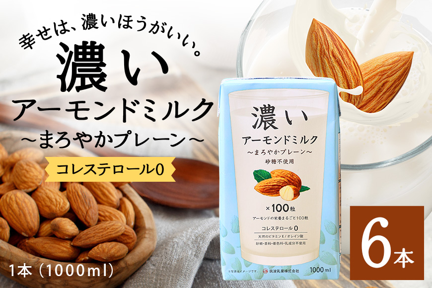 濃いアーモンドミルク まろやかプレーン1000ml×6本入り 47-BB