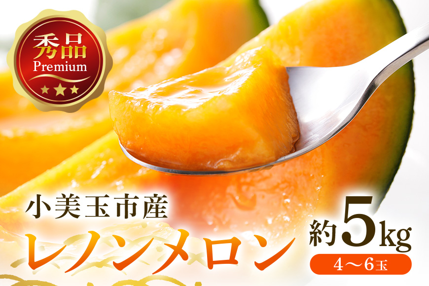 【数量限定・期間限定】 おみたまレノンメロン 赤肉 約5kg 4玉～6玉 メロン 秀品 めろん 果物 フルーツ 茨城県産 52-B 【4月20日まで受付・4月～5月上旬順次発送予定】