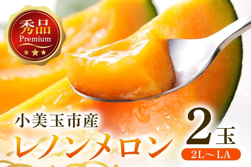 【数量限定・期間限定】 おみたまレノンメロン 赤肉 2玉 メロン 秀品 めろん 果物 フルーツ 茨城県産 52-C 【4月20日まで受付・4月～5月上旬順次発送予定】