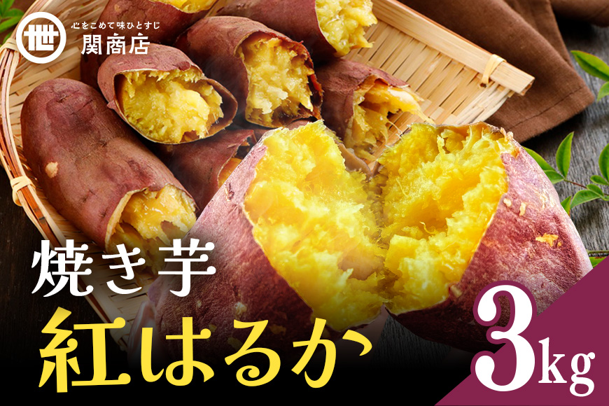 関商店  焼き芋 紅はるか 3kg 62-H ＜2026年4月20日まで受付＞