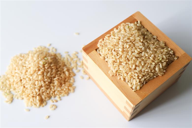 【期間限定】 ひとめぼれ 玄米 30kg お米 精米 玄米 白米 ごはん ご飯 単一原料米 茨城県産 美容 健康 69-G ＜2026年7月31日まで受付＞