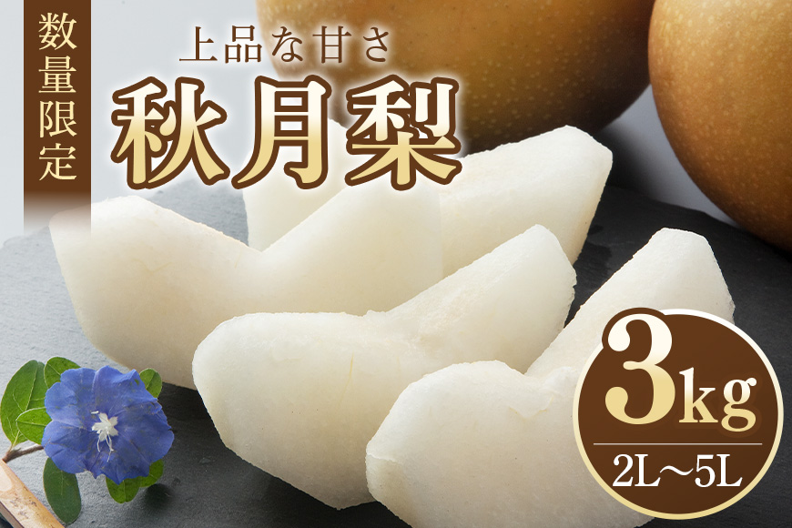 【数量限定・先行予約】 梨 秋月 3kg 2L～5L 6～9玉 なし ナシ あきづき アキヅキ 果物 フルーツ 国産 【9月10日～10月末発送予定】 70-C