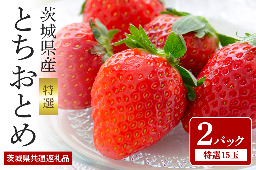 とちおとめ 特選15玉 2パック ＜2026年1月中旬～3月上旬発送予定＞ （茨城県共通返礼品 石岡市） 71-F