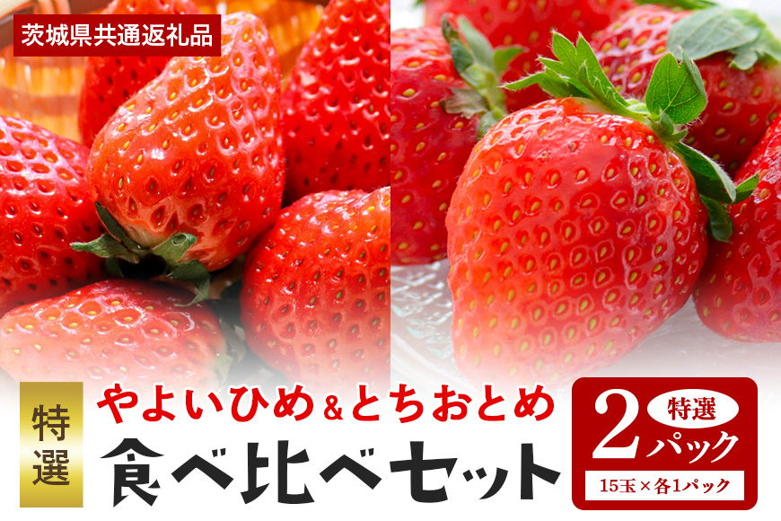 やよいひめ・とちおとめ 特選15玉 各1パック ＜2026年1月中旬～3月上旬発送予定＞ （茨城県共通返礼品 石岡市） 71-H