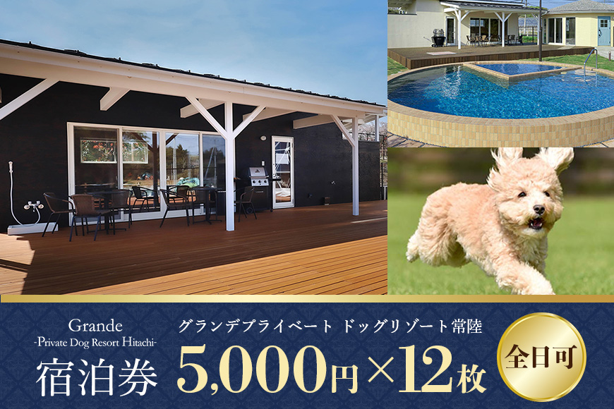 グランデ プライベート ドッグリゾート常陸宿泊券 5,000円×12枚（全日可） 72-J