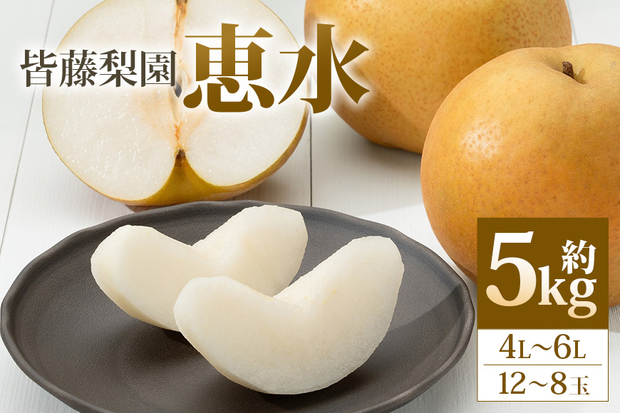 【数量限定・先行予約】【皆藤梨園】恵水（約5kg/4L～6L/12～8玉） 梨 惠水 果物 なし ナシ けいすい くだもの フルーツ 【9月上旬以降発送予定】 75-C