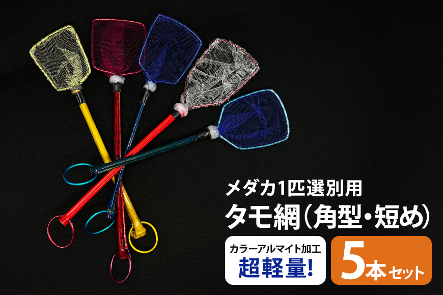 メダカ1匹選別用 タモ網（角型・短め）5本セット 83-L