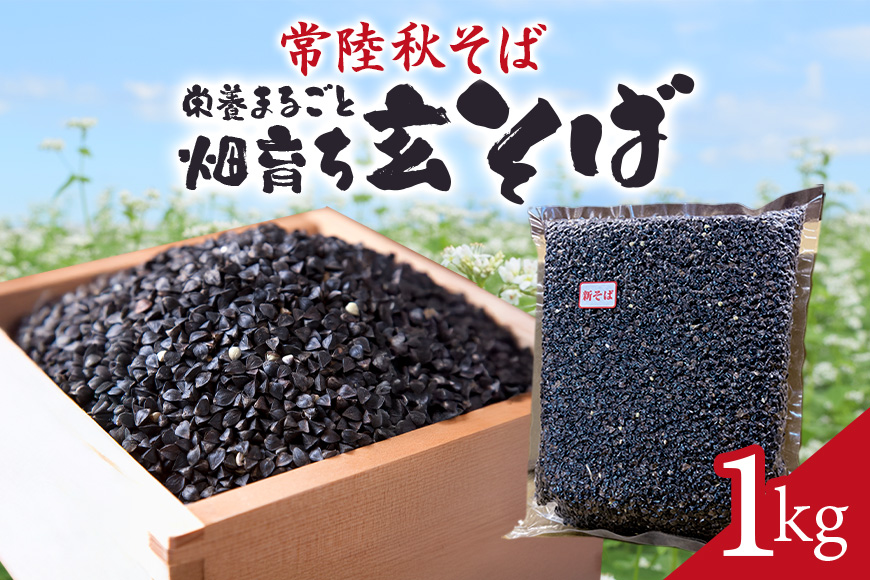 常陸秋そば 畑育ち 栄養まるごと 玄そば 1kg そば 蕎麦 ソバ ブランド 健康 美容 グルテンフリー スーパーフード ギフト 茨城県産 国産 84-A