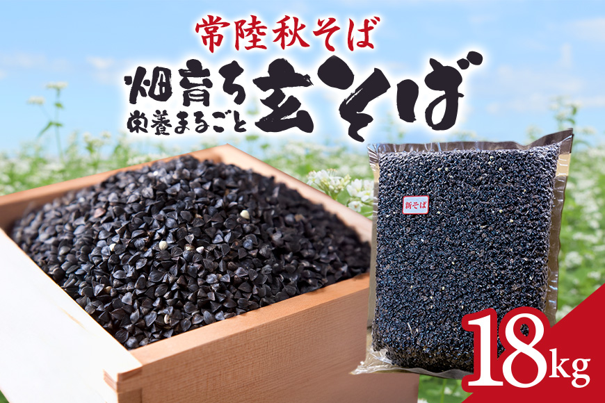 常陸秋そば 畑育ち 栄養まるごと 玄そば 18kg そば 蕎麦 ソバ ブランド 健康 美容 グルテンフリー スーパーフード ギフト 茨城県産 国産 84-B