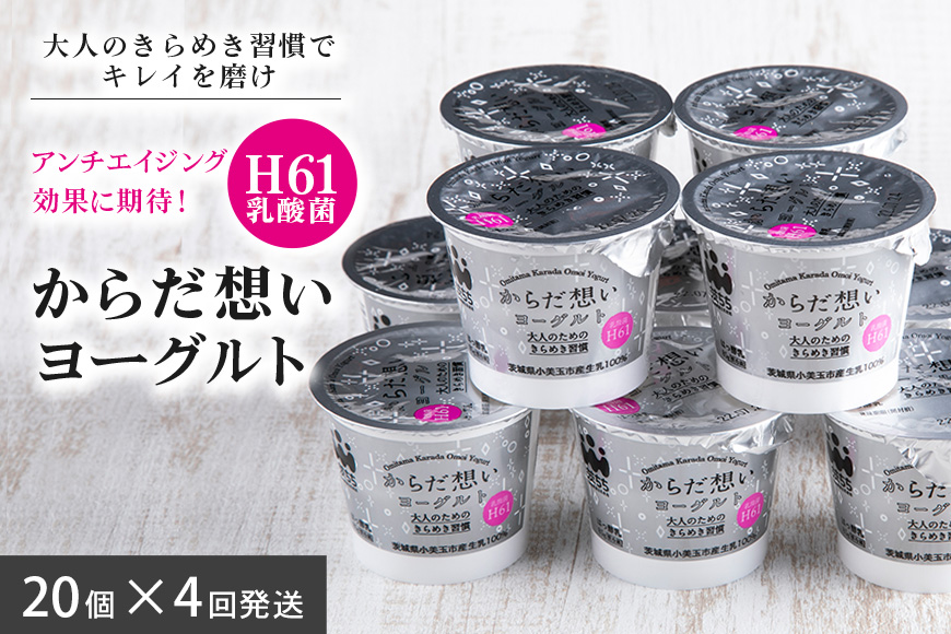 【定期便】H61乳酸菌「からだ想いヨーグルト」 20個×定期4回 1-O