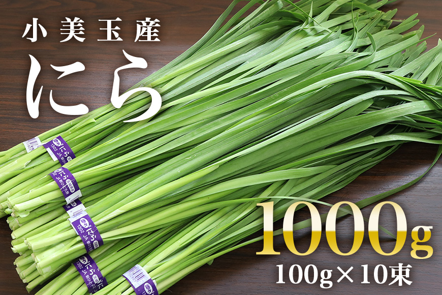 【数量限定・期間限定】小美玉市産にら 100g×10 にら ニラ 生 香味 野菜 料理 惣菜 おかず 1kg 茨城 国産 17-AA ＜5月～11月発送予定＞