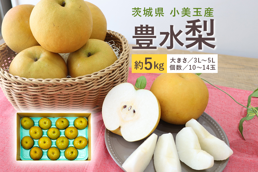 【数量限定 / 夏季限定】梨（豊水） 約5kg なし ナシ 日本梨 ほうすい ホウスイ 17-D 【8月下旬～9月上旬発送予定】