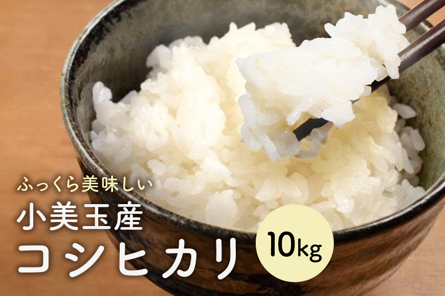 【 令和7年産 】小美玉産 コシヒカリ 10kg こしひかり 米 10キロ お米 白米 国産 ごはん おにぎり 弁当 茨城県 小美玉市 17-K