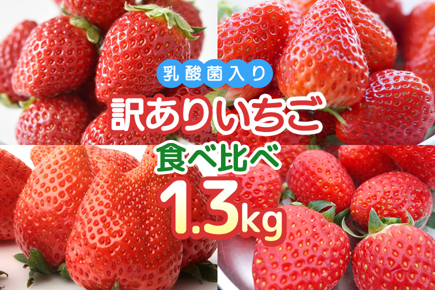 訳あり山盛り4種類 サイズ違い品種違いのいちご1.3kg 【4月～5月順次発送予定】 19-AH