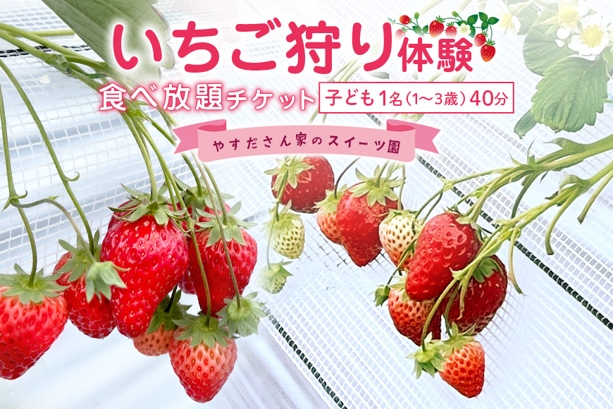やすださん家のスイーツ園 いちご食べ放題 子ども1名（1～3歳）40分食べ放題チケット イチゴ 苺 いちご いちご狩り 食べ放題 フルーツ 果物 フルーツ狩り チケット 体験 茨城県 19-AI