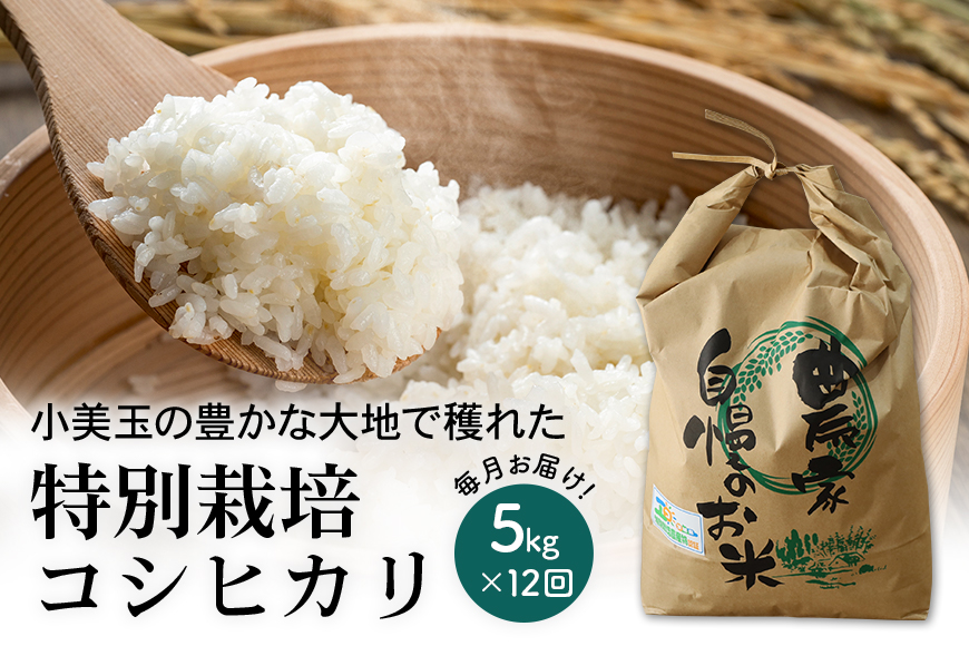 令和5年産 特別栽培コシヒカリ 5kg（12回発送） 22-D