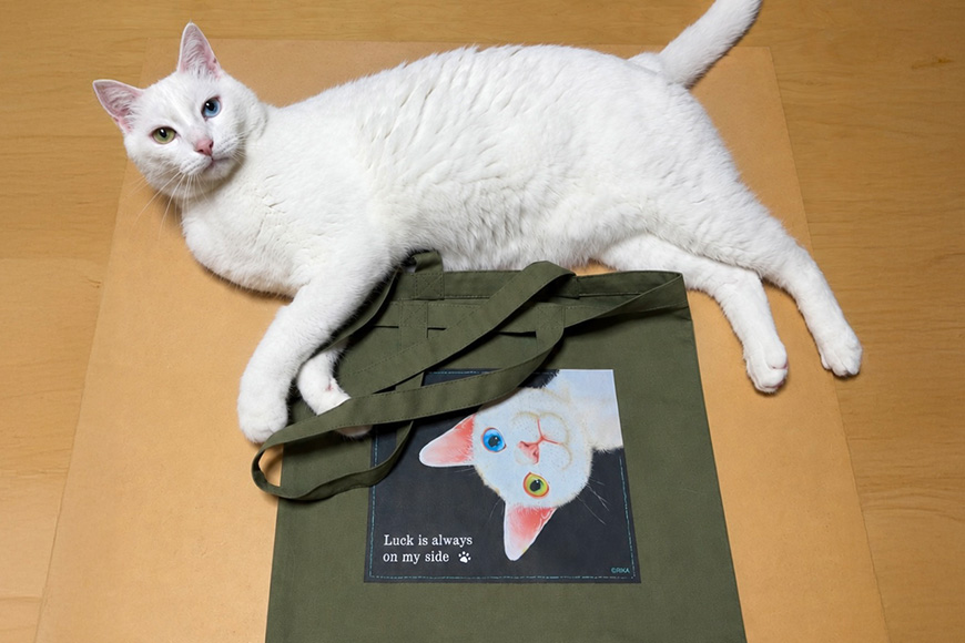 猫トートバッグ RIKA 愛猫 オッドアイ オリジナルイラストプレゼント ギフト カーキ ブラック かわいい 可愛い オシャレ おしゃれ お祝い 誕生日 ねこ ネコ 雑貨 ３６E