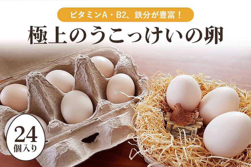 平飼い極上のうこっけいの卵 24個（20＋補償4個） 37-A