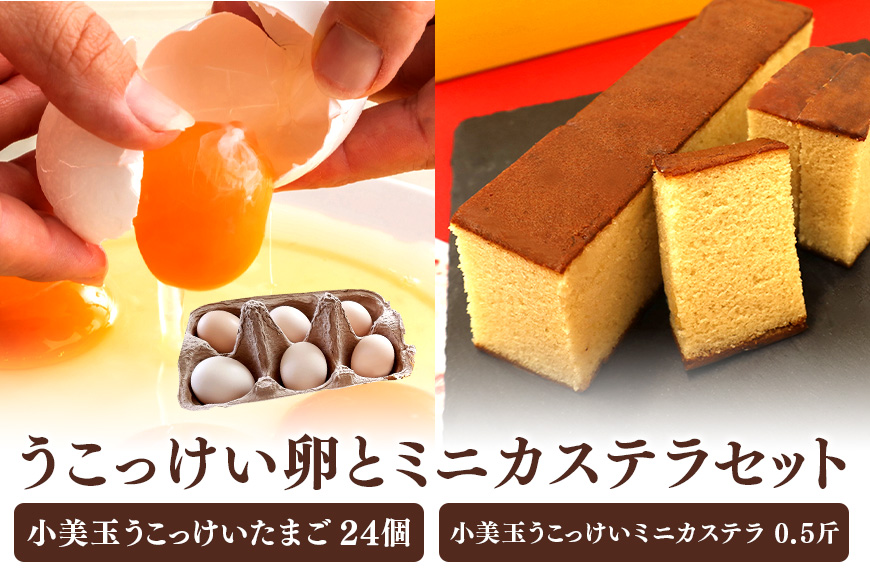 小美玉ミニカステラとうこっけい卵 24個（20＋補償4個）セット 37-N