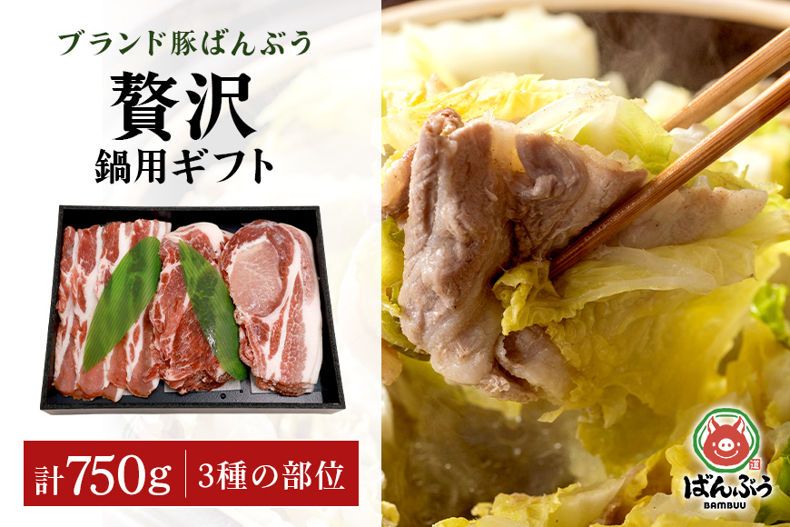 ブランド豚「ばんぶぅ」ギフト 鍋用 750g 42-BC