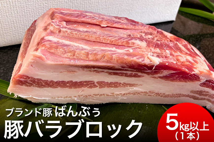 ブランド豚「ばんぶぅ」豚バラブロック 1本 42-D