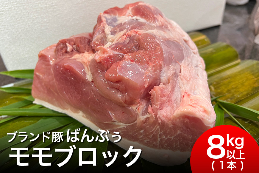ブランド豚「ばんぶぅ」モモブロック 1本（8kg以上） 42-H