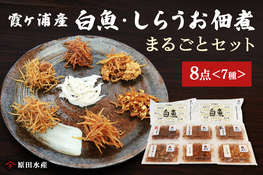 霞ヶ浦産しらうおまるごとセット 49-A