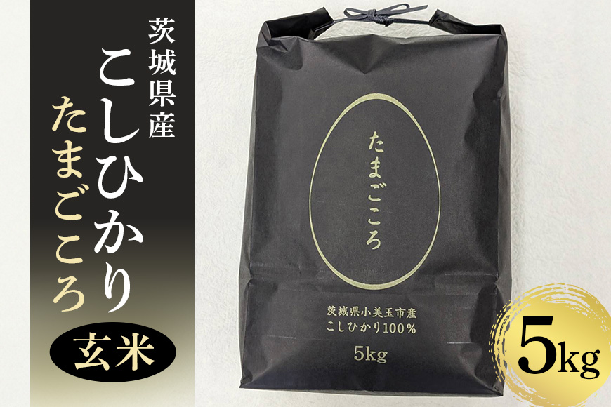 【 数量限定 】小美玉産コシヒカリ「たまごころ」玄米5kg 8-X