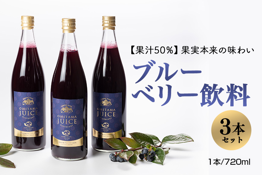果汁50％ブルーベリー飲料3本セット 9-A