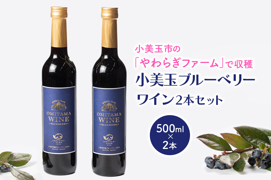 小美玉ブルーベリーワイン2本セット 9-F
