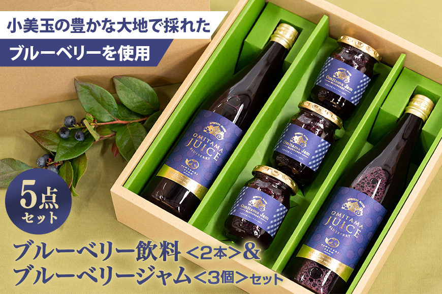 果汁50％ブルーベリー飲料2本＆ブルーベリージャム3個セット 9-G