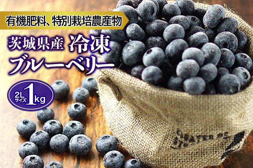 冷凍ブルーベリー 1kg 【6月下旬から順次発送予定】 9-I