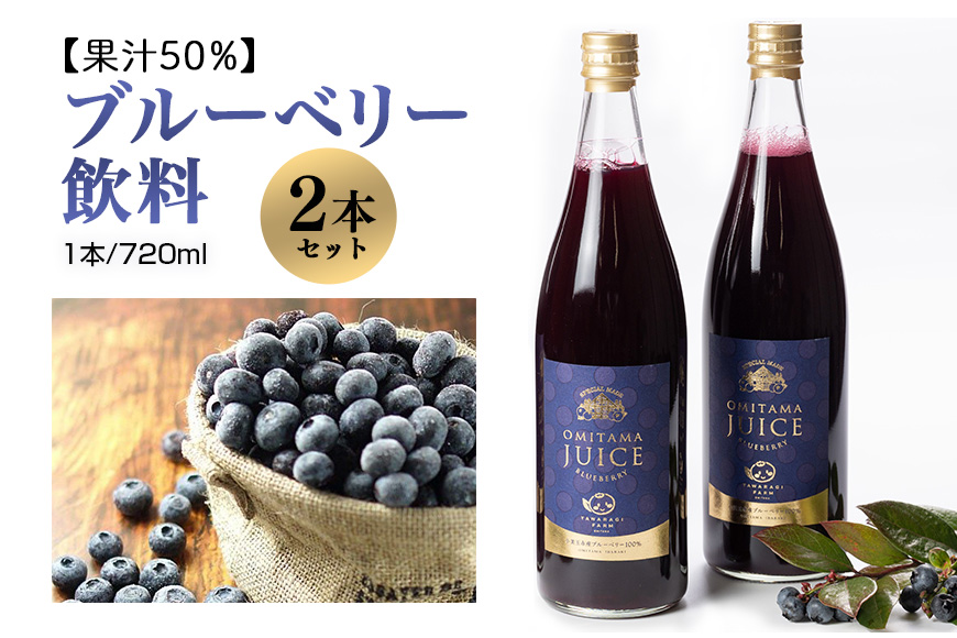 果汁50％ブルーベリー飲料2本セット 9-L