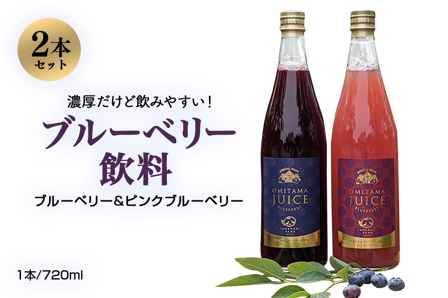 【数量限定】果汁50％ピンクブルーベリー飲料1本＆果汁50％ブルーベリー飲料1本（化粧箱入り） ブルーベリー 飲料 ピンクブルーベリー フルーツ 果物 ジュース ビタミンE アントシアニン 目にいい 健康 美容 ギフト 贈り物 茨城県産 セット ドリンク 9-P