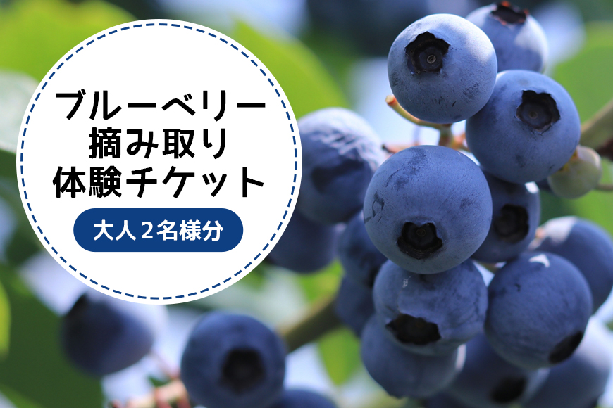 ブルーベリー狩り体験チケット（大人2名様分） 9-Q